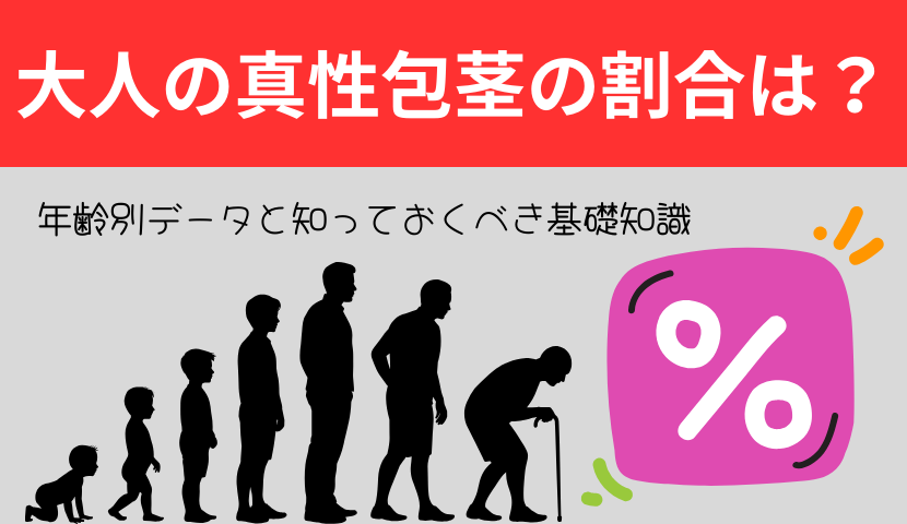 大人の真性包茎の割合は？年齢別データと知っておくべき基礎知識